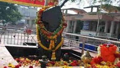 Photo of शनि से हो रहा है यदि कष्ट, करें यह उपाय और पाएं समृद्धि