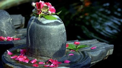 Photo of लड़कियां सच्चा और अच्छा जीवनसाथी पाने के लिए शिव को अर्पित करें ये फूल