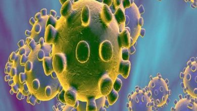 Photo of Coronavirus से चीन-भारत व्यापार संबंधों पर नहीं पड़ेगा असरः चीन के राजदूत