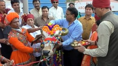 Photo of OMG: दूल्हे के हाथों में CAA की मेहंदी, बारात में गाय…गुजरात की अनोखी शादी