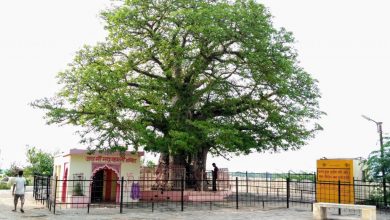 Photo of कोरोना के खिलाफ अभियान में युवा कौशल विकास संगठन आया आगे