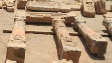 Photo of राम जन्मभूमि /खुदाई के दौरान देवी-देवताओं की खंडित मूर्तियां और खंबे मिले