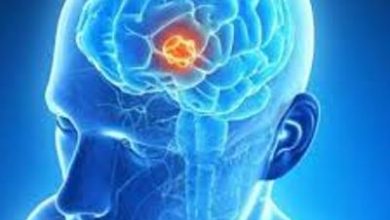 Photo of WORLD BRAIN TUMOR DAY 2020 : यदि सही समय पर पता चल जाये तो ब्रेन ट्यूमर भी नहीं खतरनाक
