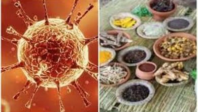 Photo of भारत ने कोरोना मरीजों के लिए तैयार की राजनिर्वाण बटी : ICMR
