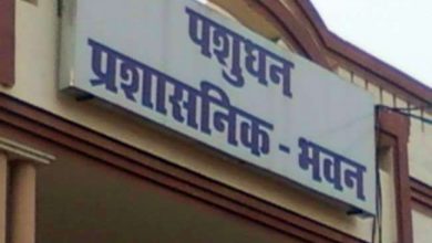 Photo of पशुपालन विभाग में नियमों को दर किनार कर बाबुओं को बना दिया गया फार्मासिस्ट, पढ़े पूरी खबर
