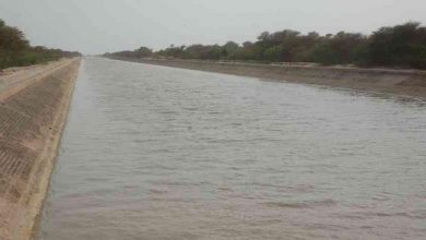 Photo of सरयू नहर राष्ट्रीय परियोजना पूरा होने के करीब