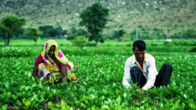 Photo of बुंदेलखंड के गांव में खेतों में पर्याप्त मात्रा में पानी मिलने से किसानों के चेहरों पर खिलने लगी मुस्कान