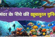 Photo of सि‍र्फ Hill Stations ही नहीं, समुद्र में भी म‍िलता है ट्रैवल थ्र‍िल