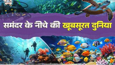 Photo of सि‍र्फ Hill Stations ही नहीं, समुद्र में भी म‍िलता है ट्रैवल थ्र‍िल