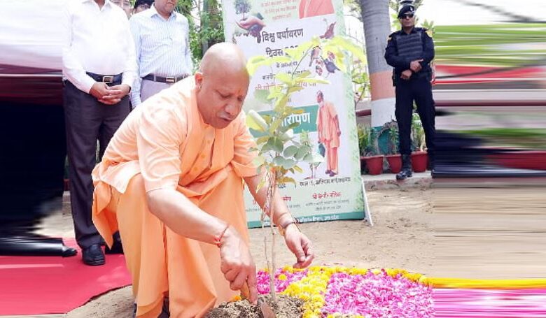 Photo of जिले-जिले जाकर पौधे लगाएंगे योगी के मंत्री, अयोध्या-आजमगढ़ में सीएम योगी…