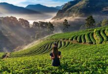 Photo of घूमने का मन है? नवंबर में भारत की ये जगहें हैं परफेक्ट ट्रिप डेस्टिनेशन