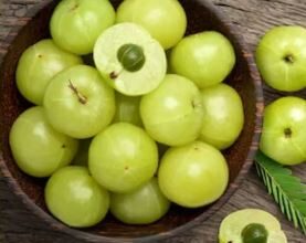 Photo of आंवला खाने के फायदे तो हैं बेशुमार, पर  हो सकता है सेहत को नुकसान