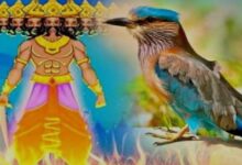 Photo of क्या है दशहरे का नीलकंठ से कनेक्शन