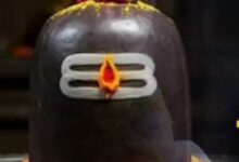 Photo of मोक्षदा एकादशी के दिन शिवलिंग पर चढ़ाएं ये चीजें