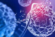 Photo of अब बैक्टीरिया को ‘हैक’ करके होगा कैंसर का इलाज जाने कैसे