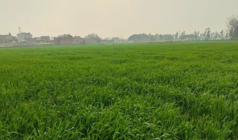 Photo of बरेली: परसाखेड़ा आवासीय योजना के लिए जमीन देने से किसानों का इन्कार