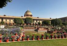 Photo of इस दिन से आम जनता के लिए खुलेगा राष्ट्रपति भवन का अमृत उद्यान, एंट्री रहेगी फ्री