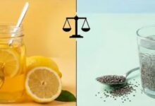 Photo of नींबू-शहद या चिया सीड्स? पेट की जिद्दी चर्बी पिघलाने में कौन है असली बाहुबली?