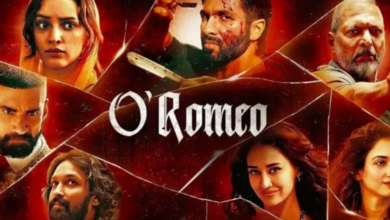 Photo of शाहिद कपूर की फिल्म ने तीन दिन के कलेक्शन से बॉक्स ऑफिस पर उड़ा दिया गर्दा