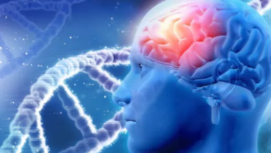Photo of पार्किंसंस के मरीजों के लिए नई उम्मीद