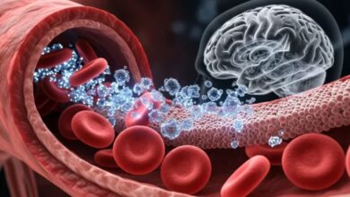 Photo of सावधान! खून के रास्ते आपके दिमाग तक पहुंच रहा है ‘नैनो प्लास्टिक’