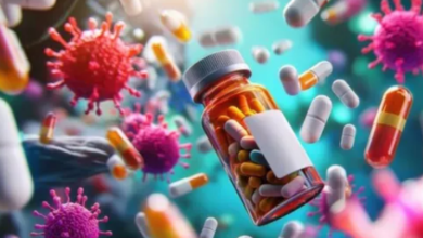 Photo of IIT बॉम्बे के वैज्ञानिकों ने तैयार किया अचूक ‘DNA हथियार’