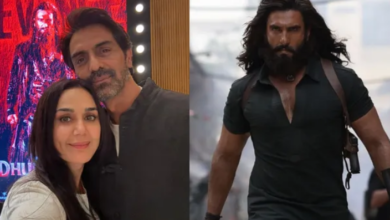 Photo of Dhurandhar 2 देख प्रीति जिंटा का नहीं भरा मन, कार्तिक आर्यन ने किया रिव्यू