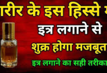 Photo of Venus Perfume Remedies: ‘लग्जरी लाइफ’ चाहिए? शरीर के इन ‘पल्स पॉइंट्स’ पर लगाएं इत्र, मजबूत होगा शुक्र