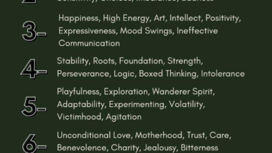 Photo of Numerology: सोमवार से रविवार तक, कौन सा दिन है आपके लिए सबसे लकी? भाग्यांक से जानें अपना शुभ वार