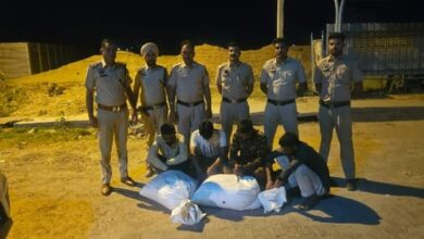 Photo of Sirsa News: एनएच-9 पर डोडा पोस्त सहित चार युवक गिरफ्तार