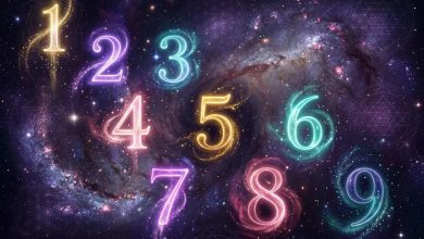 Photo of Numerology Prediction 23 July 2026: 23 जुलाई से इन लोगों को मिलेगा व्यापार में लाभ, करेंगे खूब तरक्की, पढ़ें मूलांक 1 से 9 का भविष्यफल