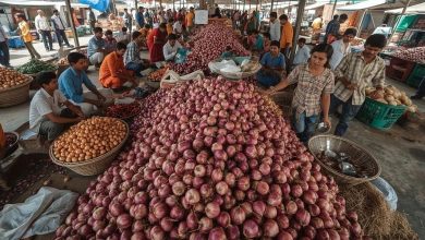 Photo of Onion Prices: प्याज की कीमतों पर सरकार का बड़ा फैसला, किसानों से खरीद मूल्य 13% बढ़ाकर ₹2,125 प्रति क्विंटल