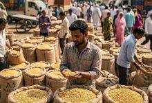 Photo of Price Monitoring System- दिवाली से पहले बाजार की दिशा अब मुख्य रूप से नई फसल की उम्मीद ????