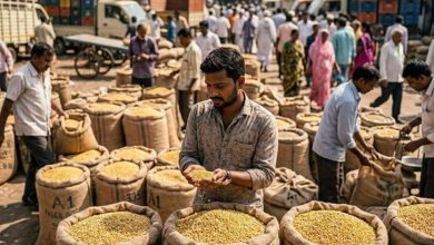 Photo of Price Monitoring System- दिवाली से पहले बाजार की दिशा अब मुख्य रूप से नई फसल की उम्मीद ????