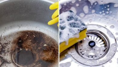 Photo of Sink Pipe Blockage: किचन सिंक का पाइप हो गया है जाम? एक चम्मच से करें सफाई ???
