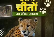 Photo of वीरांगना दुर्गावती टाइगर रिजर्व बना मध्य प्रदेश का तीसरा चीता संरक्षण क्षेत्र, वन्यजीव संरक्षण को मिलेगी नई मजबूती ???