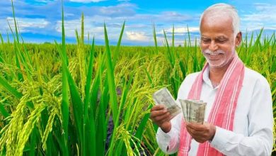 Photo of PM Kisan 24th Installment: दिवाली से पहले किसानों को मिल सकते हैं ₹2,000, पैसा अटकने से बचाने के लिए तुरंत निपटाएं ये जरूरी काम