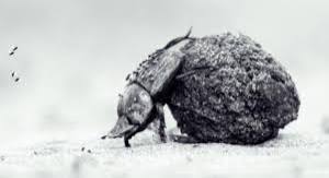 Photo of Wildlife Photography Award 2026: ब्रिटिश फोटोग्राफर ऑस्कर व्हिटफील्ड ने जीता यंग वाइल्डलाइफ फोटोग्राफर ऑफ द ईयर पुरस्कार ???