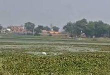Photo of आंध्र प्रदेश में ‘आदिवी थल्ली बाटा 2.0’ कार्यक्रम लॉन्च, आदिवासी क्षेत्रों के विकास पर रहेगा जोर ???