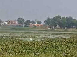 Photo of आंध्र प्रदेश में ‘आदिवी थल्ली बाटा 2.0’ कार्यक्रम लॉन्च, आदिवासी क्षेत्रों के विकास पर रहेगा जोर ???