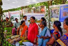 Photo of शिवराज सिंह चौहान ने लॉन्च किया ‘Goa Fresh’ ब्रांड, गोवा के स्थानीय कृषि उत्पादों को मिलेगी नई पहचान ???